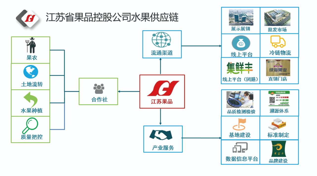 广东省水果供应商，品质、创新与供应链的协同进步