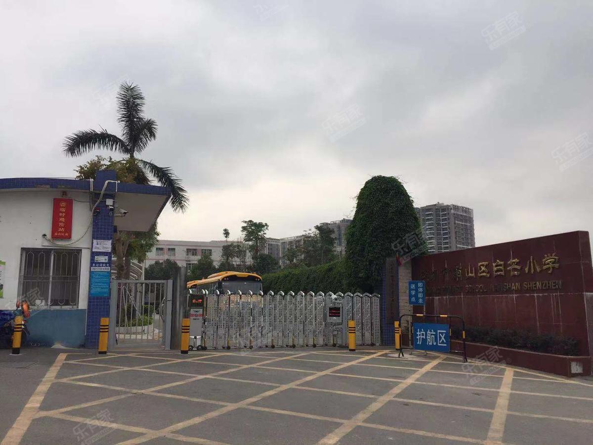 广东省白芒小学的地理位置及其教育特色