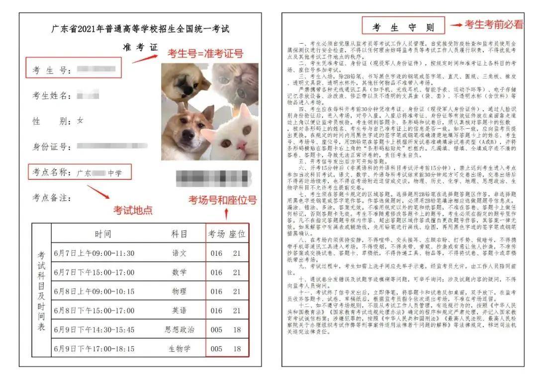 广东省高考准考证比例，探索与洞察