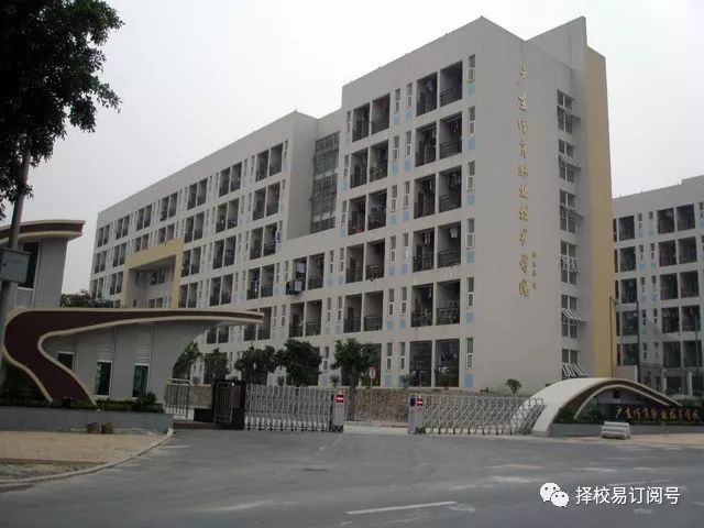 广东省高职体育学院，培养新时代体育人才的摇篮