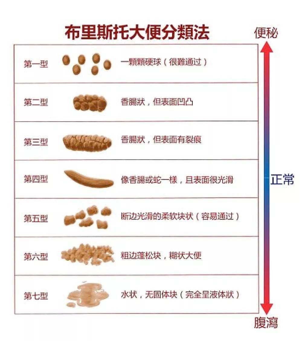 关于三个月宝宝一天拉几次大便正常的探讨