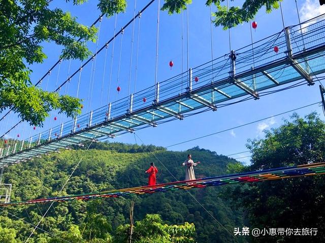 江苏紫藤科技，连接未来的桥梁，一站式服务热线为您保驾护航