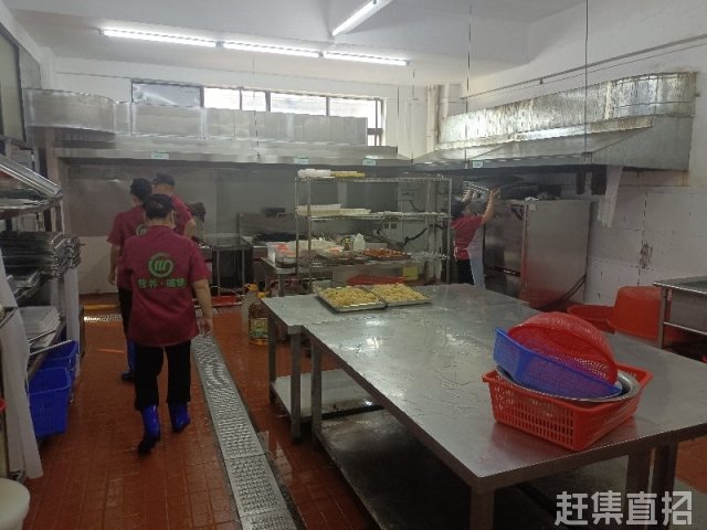 广东麦田餐饮有限公司，探索美食与服务的卓越之旅