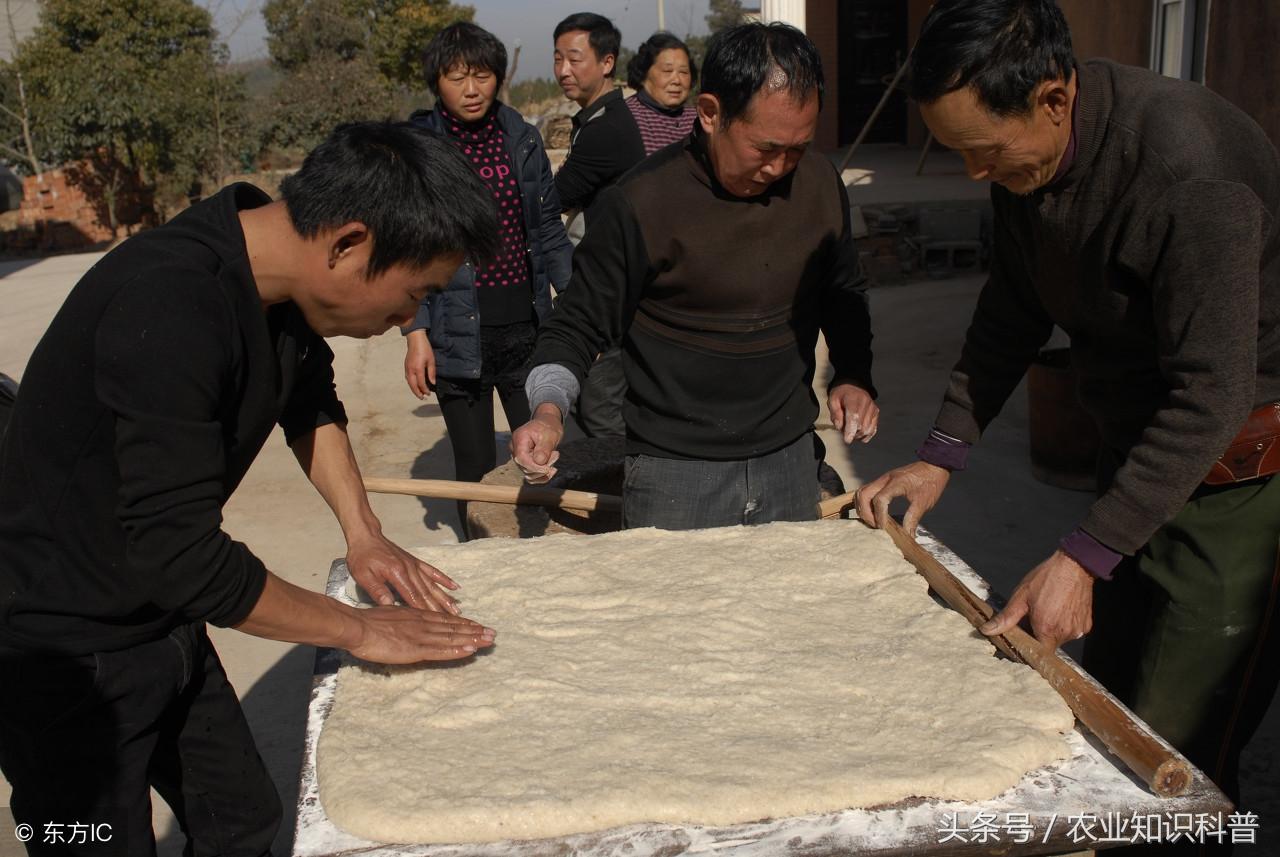 广东省那刀村的独特魅力与文化传承